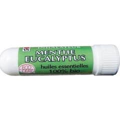 Vecteur Santé Inhalador Menta Eucalipto 1ud