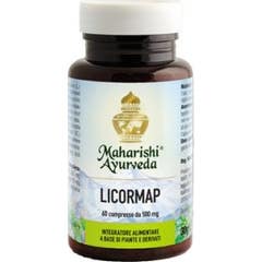 Lizenzkarte 60Cpr