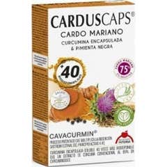 Intersa Diätetik Cardus Curcuma 60caps