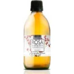 Terpenic Labs Rose Hip Oil Virgin Vegetable Oil 100ml