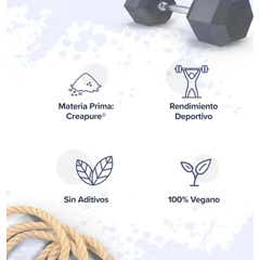 HSN Creatina Excell 100% Creapure® en Polvo 500g