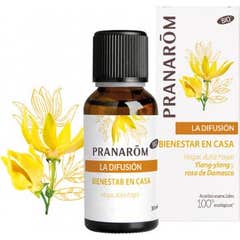 Pranarôm Les Diffusables Bien Chez Soi Bio 30ml Pranarôm Les Diffusables Bien Chez Soi Bio 30ml