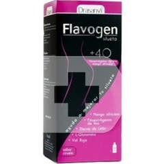Flavogen Silhouette 500ml