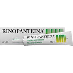 Rinopanteina Ung 10 Gr