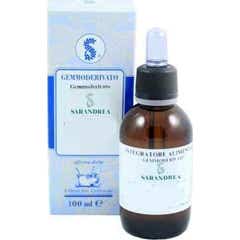 Sarandrea Johannisbeer-Neger Mazeriertes Glyzerin 100Ml