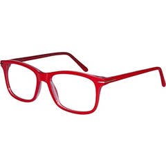 Horizane Slimme Loep Rou D2.0