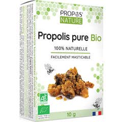 Informazioni sulla Propoli naturale Propoli organica pura masticabile 10G