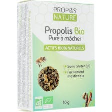 O przyrodzie Propolis Czystość organiczna do żucia Propolis 10G