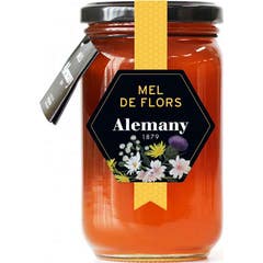 Alemany Miel Poliflora 500g