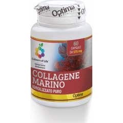 Colours of Life Collagene Marino hidrolizado 57mg 60caps