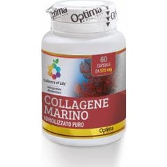 COLORS COLLAGEN LIFE 60CPS