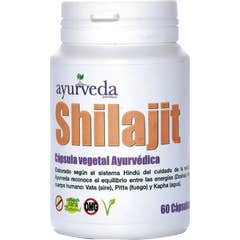 Ayuderva Shilajit Dorado 60caps Ayuderva Shilajit Dorado 60caps