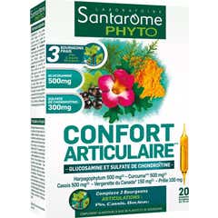Santarome Conf Articular Amp 20