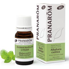 Basilic Exotiq Pranarom He Bio10ml