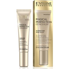 Eveline Cosmetics Corrector Magical Perfection 01 Light 15ml