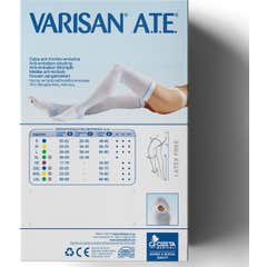 B/Varisan2 Ate Weiß/Gelb T2