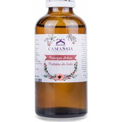 Camassia Proteína De Seda 50ml