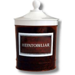 Averroes Hepatobiliar Detoxphyton 1ud