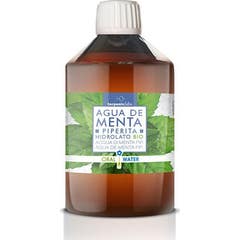 Terpenic Hydrolat Pfefferminz Bio-Hydrolat 250ml
