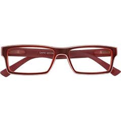 Acorvision Gafa Plegable Marrón +2.50 1ud