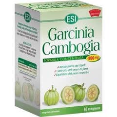 ESI Garcinia Cambogia 1000mg 60caps