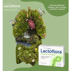Lactoflora Pack Probiótico Inmunitario 2x30cáps Lactoflora Pack Probiótico Inmunitario 2x30cáps