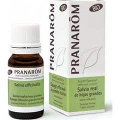 Pranarôm Aceite Esencial de Salvia Real de Hojas Grandes BIO 10 ml