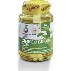 Colores Vida ginkgo Bilob60 comp