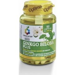 KLEUREN VIDA GINKGO BILOB60CPR
