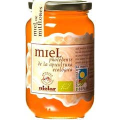 Arnauda Milchblüten Honig 500g