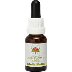 Australian Bush Flower Pink Mulla Mulla Esencia En Gotas 15ml