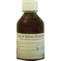 Casa di Salute Melissa Bryophyllum 100ml