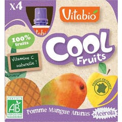 Vitabio Cool Fruits Manzana Mango Piña 12x90g
