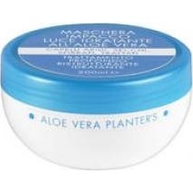 Moisturizing Aloe Vera Planter's Mask