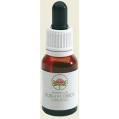 Green Little Flanner Flow 15Ml