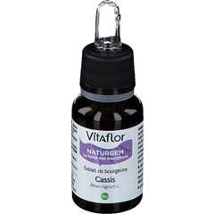 Vitaflor Bio Ribes Nero Estratto di gemme di ribes nero 15ml