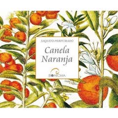 Bioaroma kanel appelsin duftsæk 12.5g
