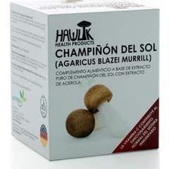 Fungo del sole di Hawlik 60caps
