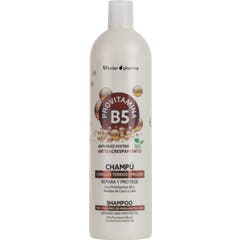 Thader Pharma Provitaminas B5 Champu Cabellos Teñidos Mechas 1 L