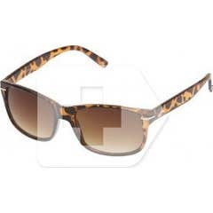 Loring Cali sunglasses 1ud