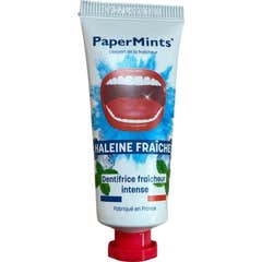 PaperMints Dentrífico Aliento Fresco Frescor Intenso 25 ml