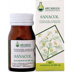 Arcangea Sanacol 60 Cpr 500Mg Acn