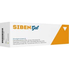 Agaton Siben Spray Nasal 30 ml