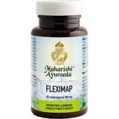 Fleximap 60Cpr