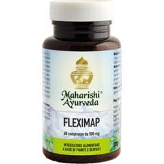 Fleximap 60Cpr