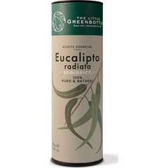 The Little Green Bottle Eucalyptus Radiata Æterisk Olie 15 ml