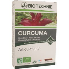 Biotechnologie Kurkuma 20 Fials