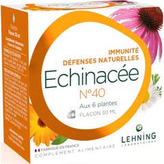 Lehning Echinacea N40 Immunitet 30ml