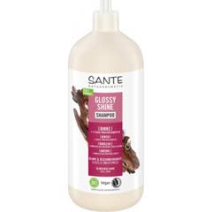 Sante Glossy Shine Shampoo Birch 950ml