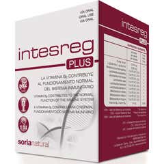 Complemento Soria Intesreg più 14 buste